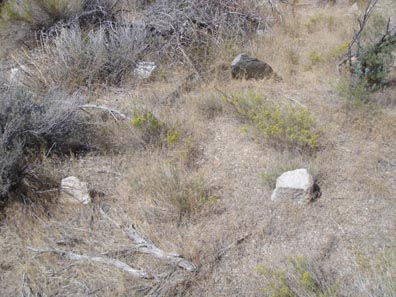 most of the graves are buried by brush